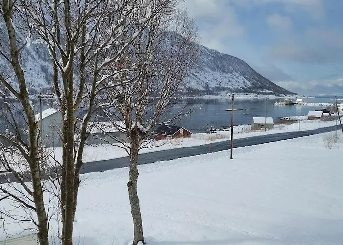 Fishermens House, 3 Bedrooms Near The Sea Medby Апартаменты *