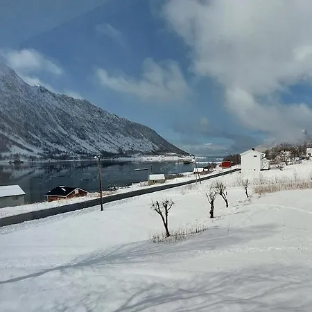 Fishermens House, 3 Bedrooms Near The Sea Medby * Senja