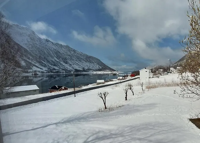 Fishermens House, 3 Bedrooms Near The Sea Medby * Senja